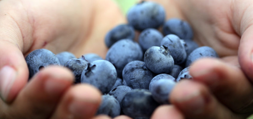 Cheap Superfoods for the Frugal Health Nut