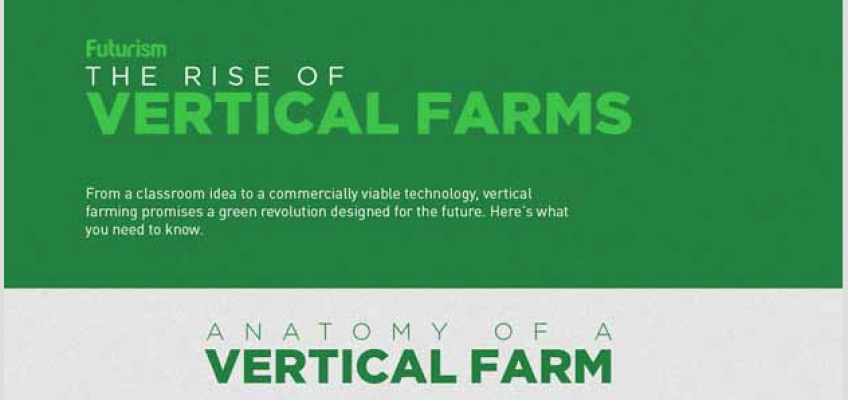 Are Vertical Farms The Future Of Agriculture?