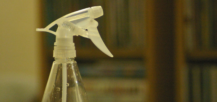 Super-Simple DIY Pest Repellent for the Garden