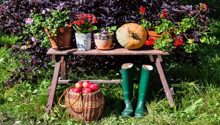 Tips for Fall Gardening
