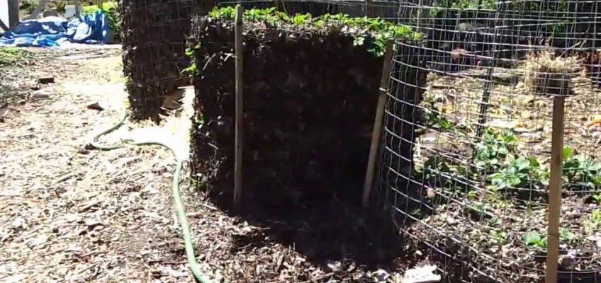 How to Build a Potato Tower