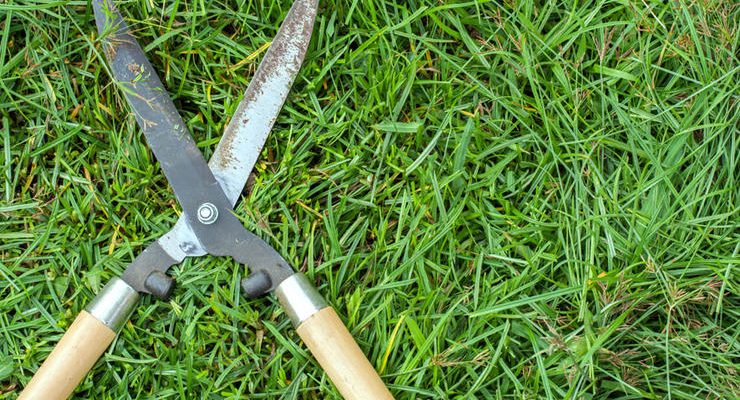 Easy Mistakes to Avoid in the Garden