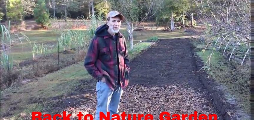 Back to Nature Garden (Video)