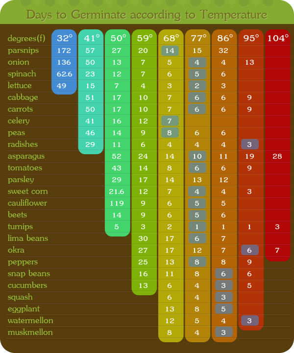 Seed Starter Chart By Temperature (Infographic) Homesteader