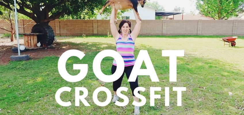 Goat Crossfit (Video)