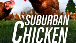 The Suburban Chicken Blueprint [eBook]