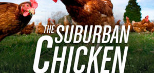 featured_chicken-848×400