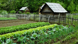 10 Gardening Tips For Survivalists