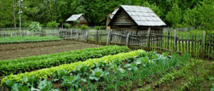 survGarden