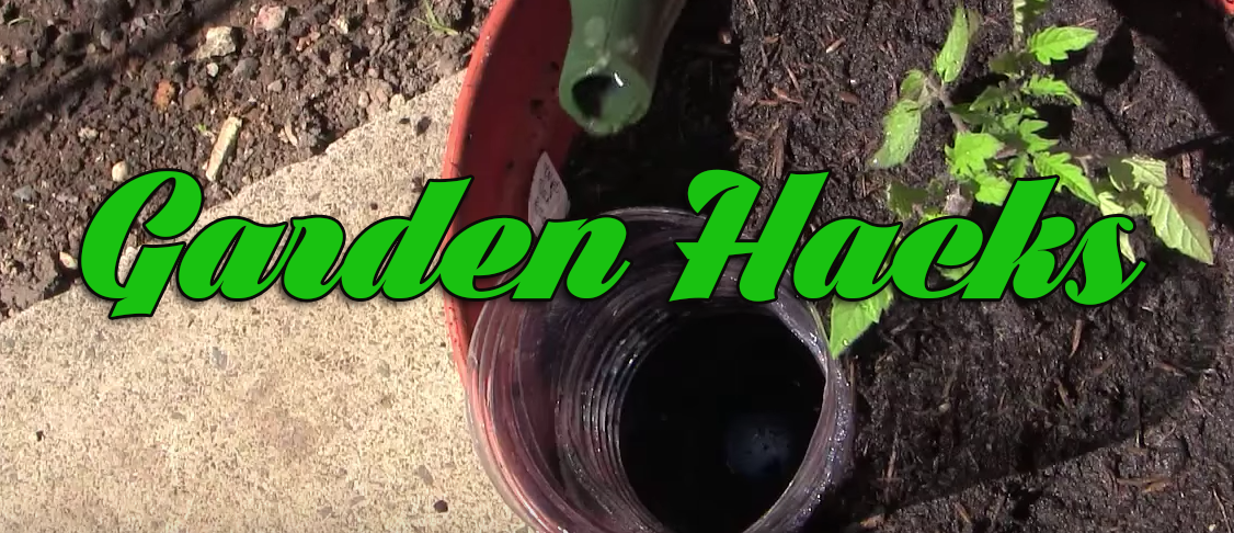 10 Veggie Garden Hacks