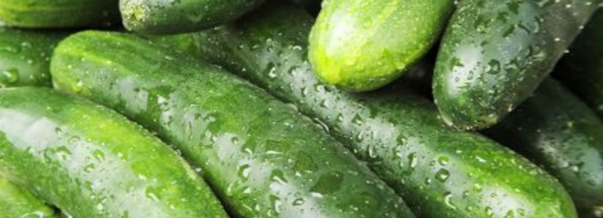 How To Use Extra Cucumbers
