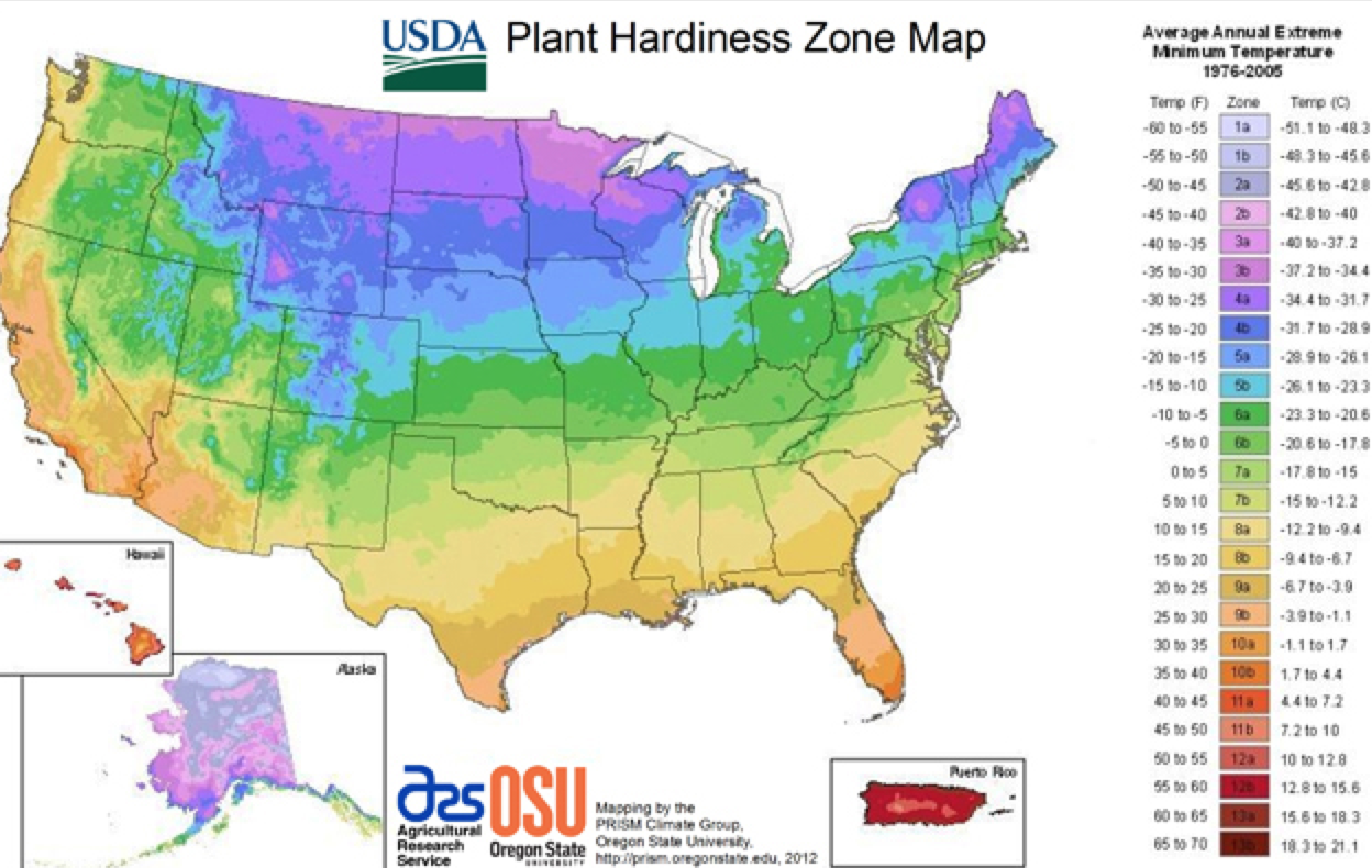 Understanding Gardening Zones