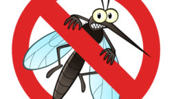Highly Effective Natural Bug Repellents