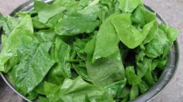 2 Ways to Preserve Spinach