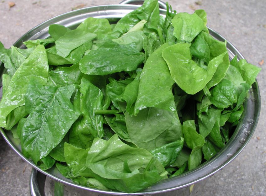 2 Ways to Preserve Spinach