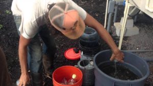 compost-tea