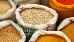 5 Survival Foods That Virtually Last Forever