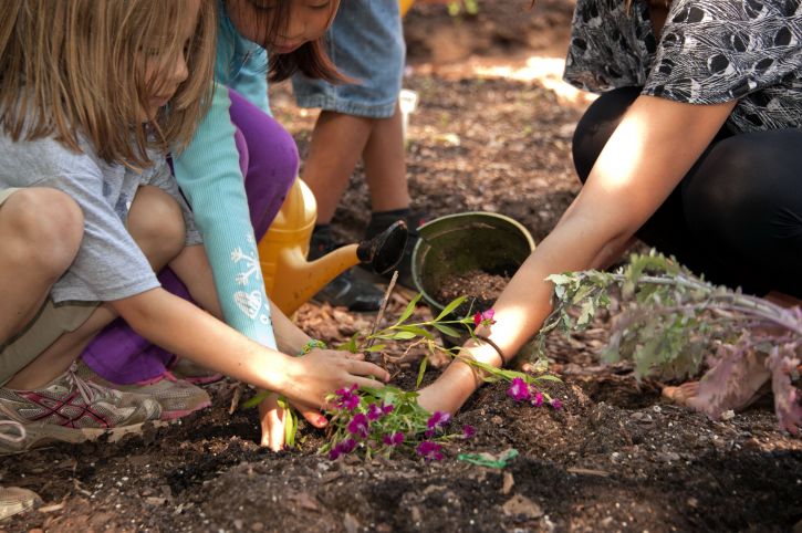 5 Easy Plants for Kids to Grow