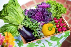 grow-your-own-food
