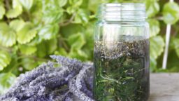 preserving-herbs