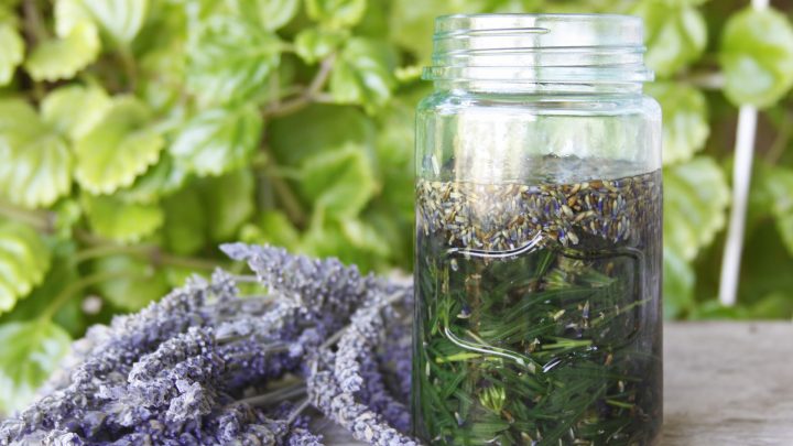 Five Ways to Preserve Herbs