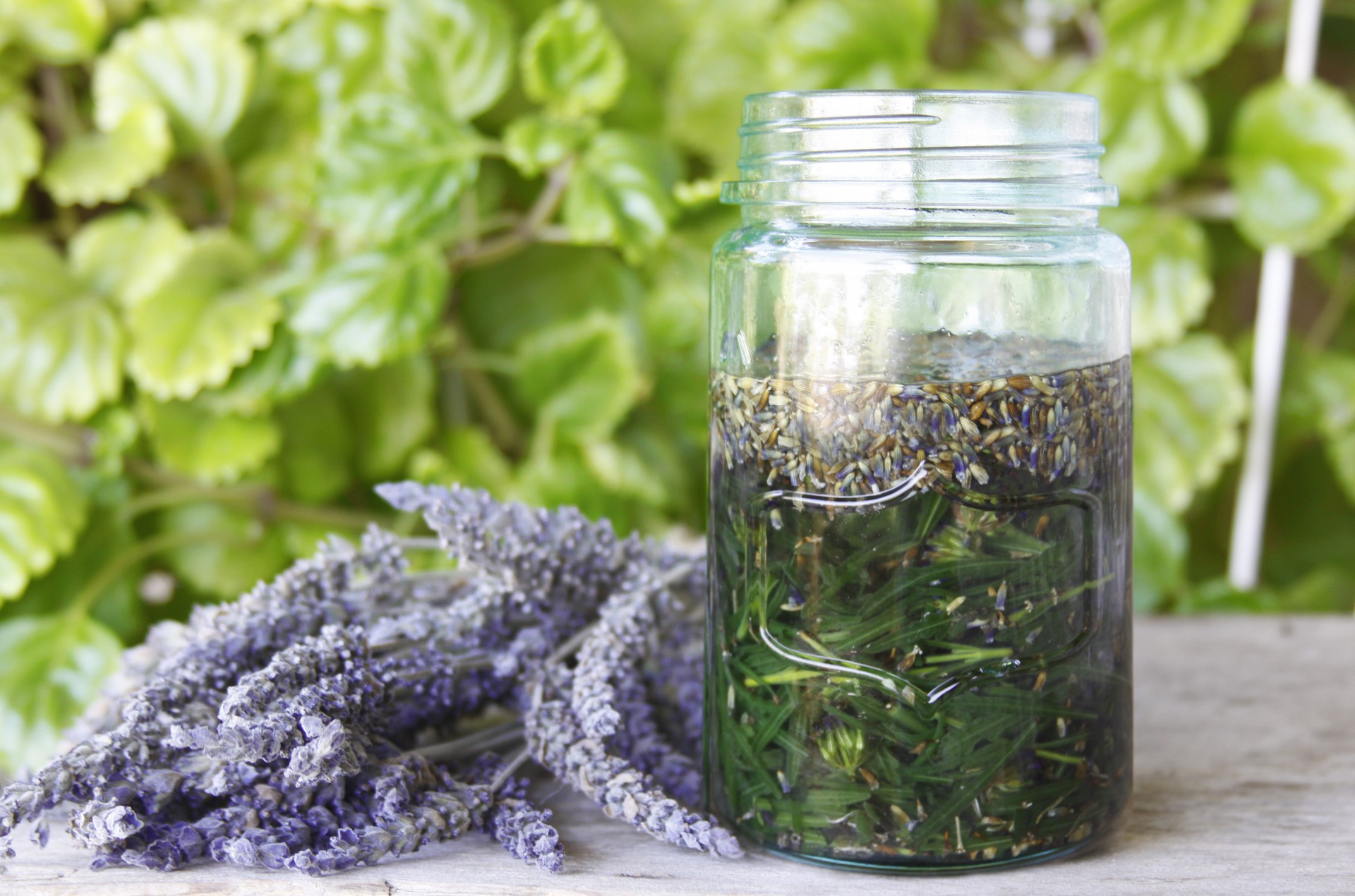 Five Ways to Preserve Herbs