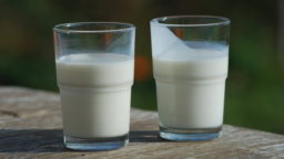 The Health Benefits of Raw Milk