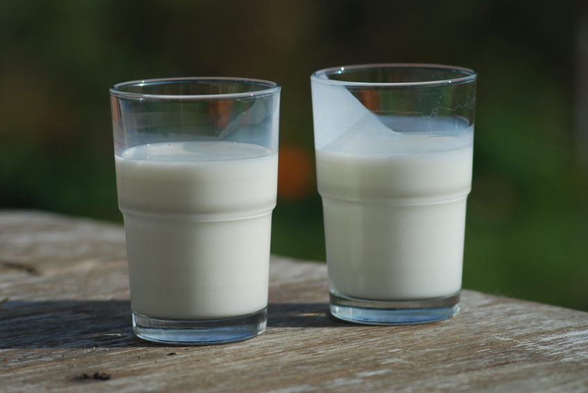 The Health Benefits of Raw Milk