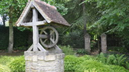 2 Common Water Sources for Homesteads