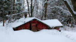 Preparing the Homestead for Winter