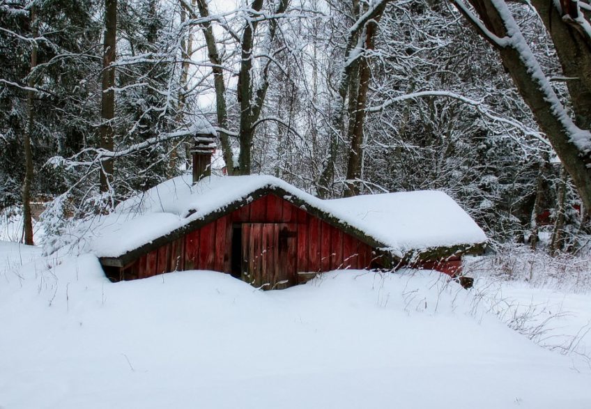 Preparing the Homestead for Winter