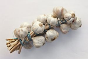 allium_sativum-_restra_de_allos_de_oroso-_galiza
