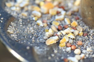 bird_seed_mixture_in_feeder