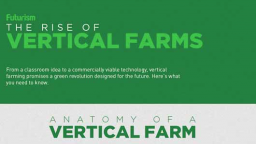 Are Vertical Farms The Future Of Agriculture?