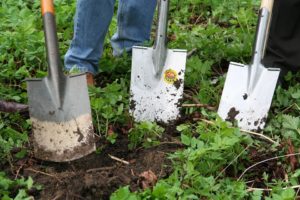 gardening-331986_960_720