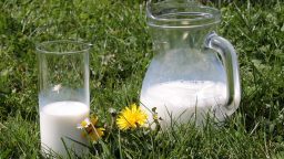 How to Safely Handle Raw Milk