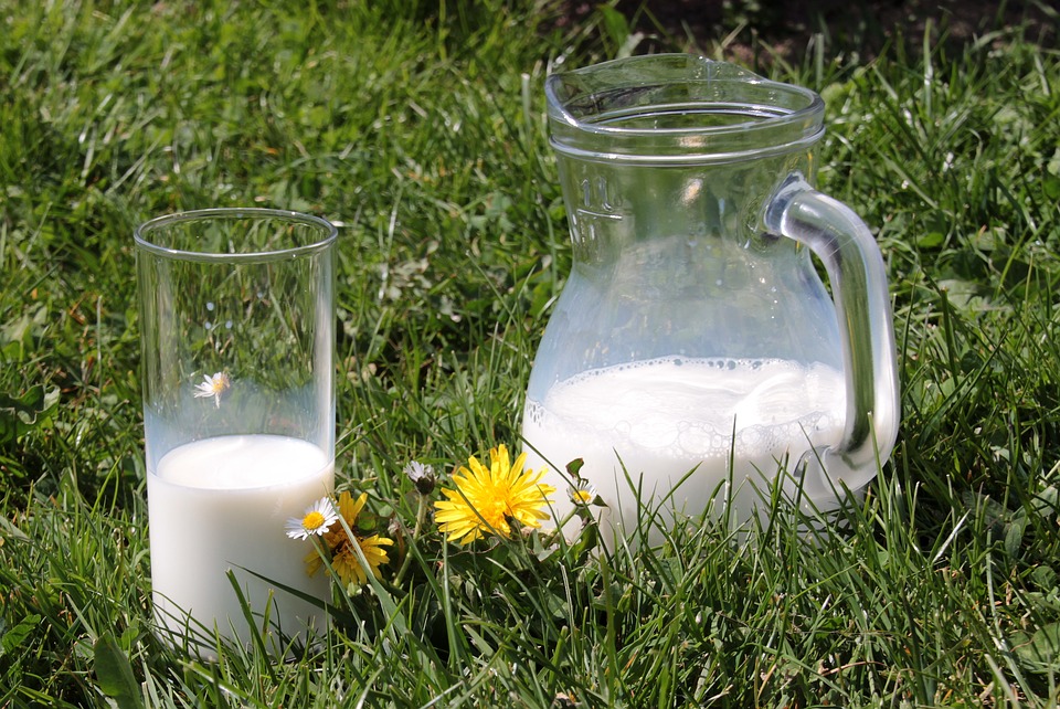 How to Safely Handle Raw Milk