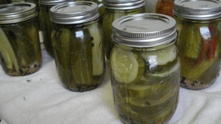 Tips for Making Your Own Crispy Pickles
