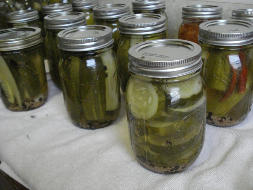 Tips for Making Your Own Crispy Pickles