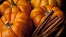 DIY Pumpkin Spice-From Your Own Garden!