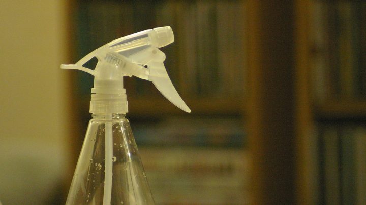 Super-Simple DIY Pest Repellent for the Garden