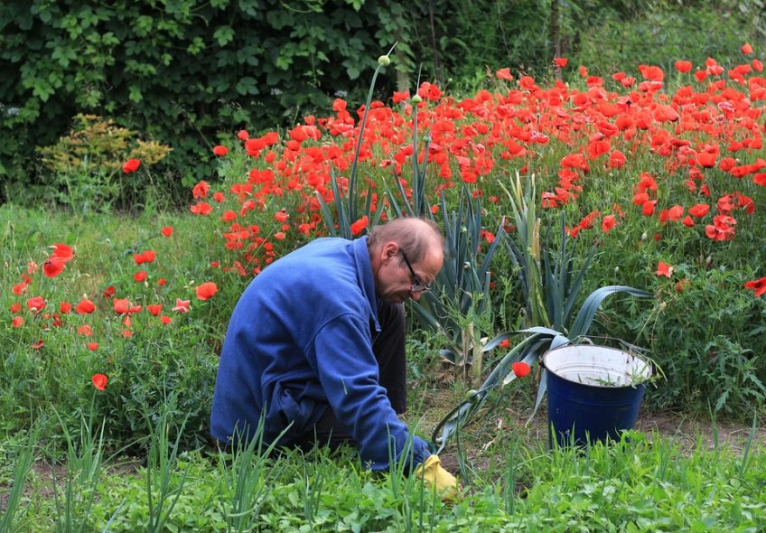 Tips for Weeding the Garden