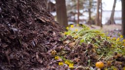 Winter Composting Tips