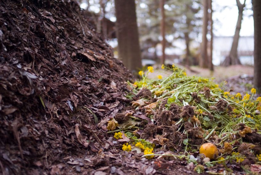 Winter Composting Tips