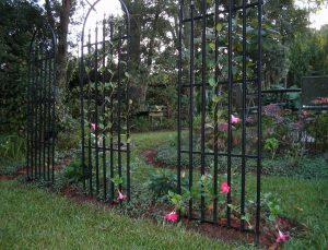 flower_trellis_1