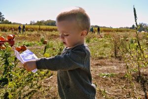 child-375065_960_720