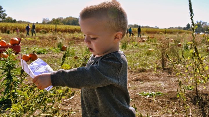 Benefits of Homesteading for the Kids