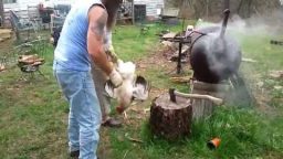 One Way to Clean a Chicken