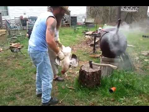 One Way to Clean a Chicken