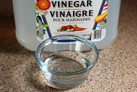 Vinegar Does it All